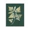 Stupell Industries Fern Leaves on Green Wall Plaque Art Design by JJ Design House LLC
